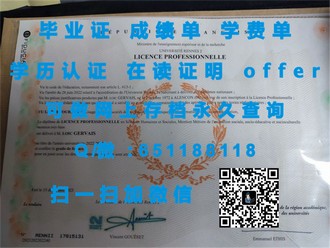 《揭秘安格利亚罗斯金大学文凭：学历背后的艺术与学术之光》