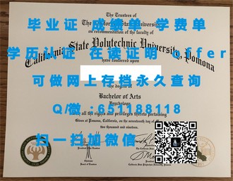 《北安普顿大学文凭：开启你的全球教育之旅》