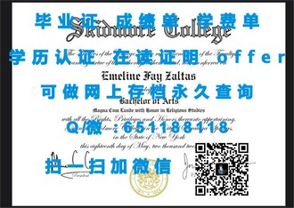 《新加坡共和理工学院文凭：全球认可的教育明珠，助力未来职业发展》