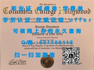 《奥克兰商学院文凭：开启国际职场通行证的黄金钥匙》