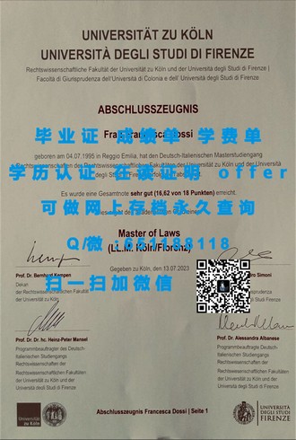 《梅西大学文凭：成就未来，开启国际教育新篇章》