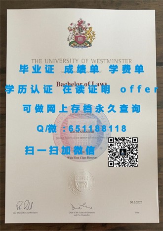 《西悉尼大学文凭：揭开澳大利亚顶尖学府的学术光环与职业前景》