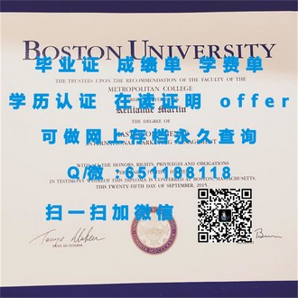 《巴拉瑞特大学文凭：解锁全球就业市场的钥匙》