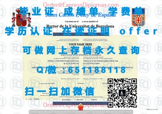 《拉夫堡大学文凭：成就未来精英的黄金钥匙》