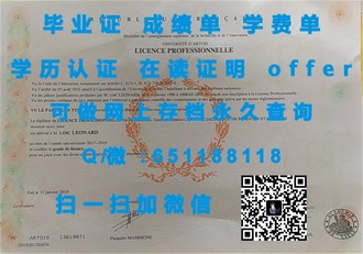 《波士顿学院文凭：开启你未来职业生涯的黄金钥匙》