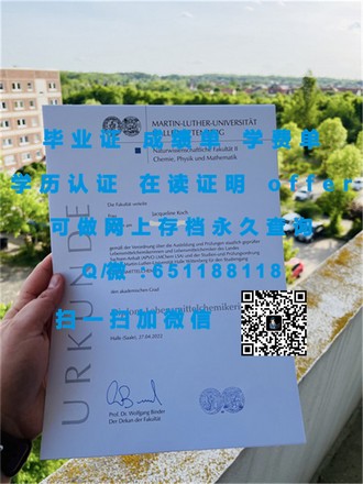 约克大学文凭：开启你的全球职场通行证