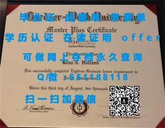 《揭秘埃塞克斯大学文凭：学历背后的名校风采与就业优势》