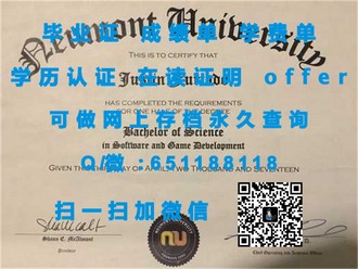 《怀卡托理工学院文凭：开启全球就业新篇章的黄金钥匙》