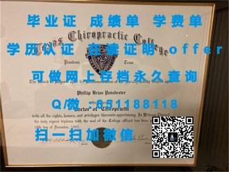 《惠灵顿理工学院文凭：开启全球职场通行证，成就未来无限可能》