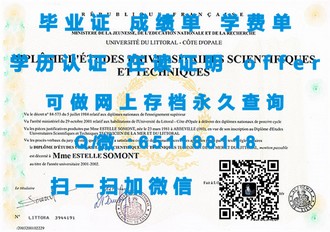 《奥塔哥理工学院文凭：开启未来职场敲门砖的顶尖学府》