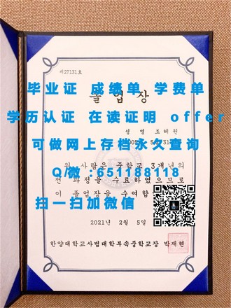 《惠灵顿理工学院文凭：开启国际认可的学术之旅》