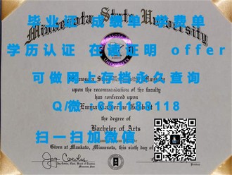 马努考理工学院文凭：开启国际教育新篇章的秘密武器