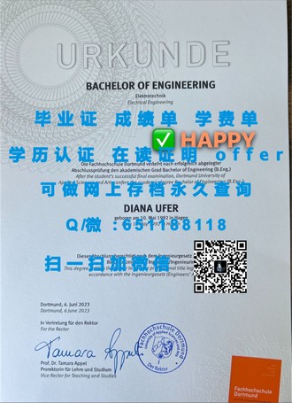 《揭秘梅西大学文凭：世界级教育的认证与未来就业的通行证》