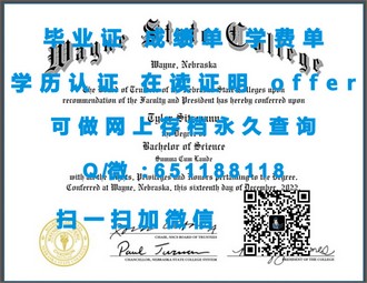 《澳门城市大学文凭：成就未来职场精英的黄金钥匙》