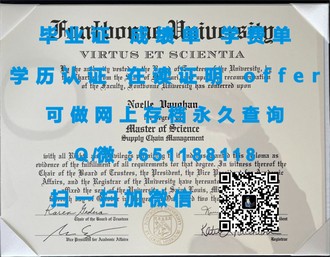 《梅努斯大学文凭：开启你未来职业生涯的敲门砖》