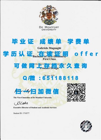 《都柏林城市大学文凭：开启国际化教育新篇章的通行证》