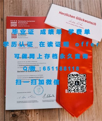 《都柏林大学文凭：解锁全球就业机会的黄金钥匙》