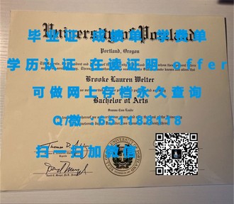 《都柏林理工学院文凭：全球认可的学术荣耀，开启职业生涯的黄金钥匙》