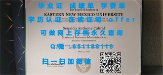 《利默里克大学文凭：解锁全球认可的学术成就之路》
