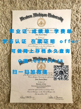 《爱尔兰高威大学文凭：全球认可的学术通行证，开启你的国际生涯》