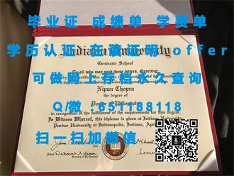 《南昆士兰大学文凭：开启未来职业生涯的黄金钥匙》