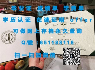 《梅努斯大学文凭：揭开顶尖教育机构的教育成果与就业竞争力》