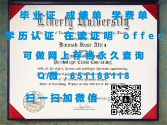 《利默里克大学文凭：揭秘全球认可的学术成就与未来职场敲门砖》