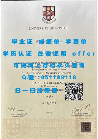《爱尔兰卡罗理工学院文凭：揭秘其教育质量与全球认可度》