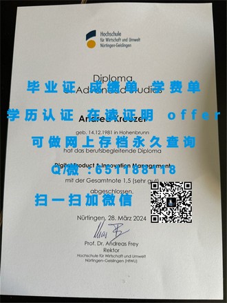 《格里菲斯大学文凭：开启你未来职业生涯的黄金钥匙》