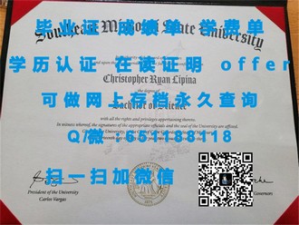 《纽卡斯尔大学文凭：开启全球学术视野的钥匙》