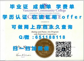 《揭秘新英格兰大学文凭：高含金量学历，助力职场飞跃》