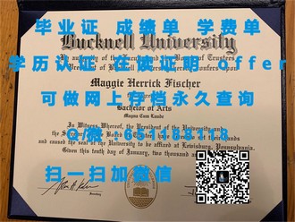 巴拉瑞特大学文凭：开启您国际化视野的通行证