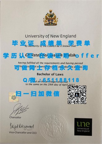 《纽卡斯尔大学文凭：开启未来职业道路的通行证》