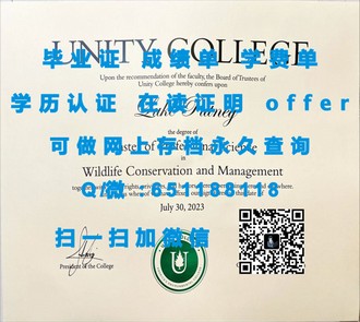 《华威大学文凭：解锁精英教育的国际通行证》