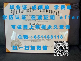 苏塞克斯大学文凭：揭秘其毕业生在影视界的辉煌成就与视觉艺术革新