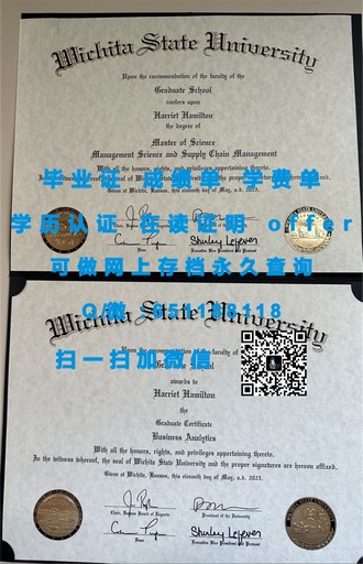 《东伦敦大学文凭：揭秘该校毕业生的全球认可度与职业前景》