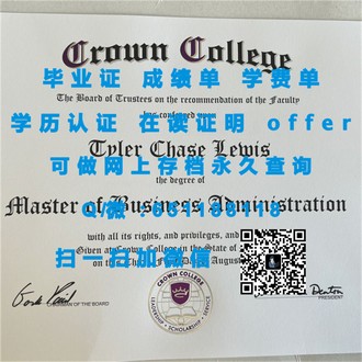 《里丁大学文凭：开启国际教育新篇章，成就未来无限可能》