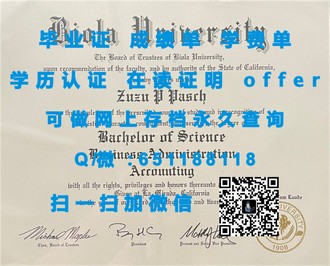 《格林威治大学文凭：开启全球职场竞争力的国际通行证》