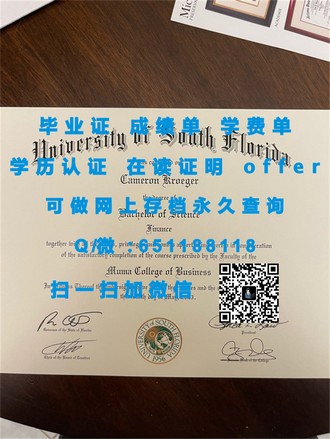 《阿伯丁大学文凭：开启全球就业市场的金钥匙，成就你的辉煌人生》