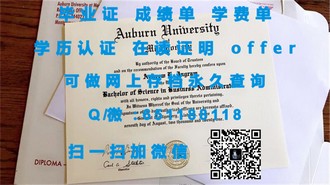《贝尔法斯特女王大学文凭：开启你的国际教育之旅》