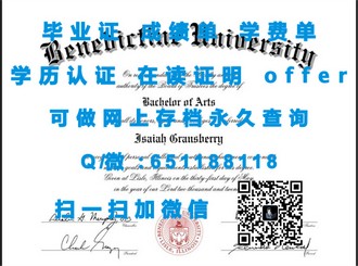 《纽卡斯尔大学文凭：开启全球就业新篇章的黄金钥匙》