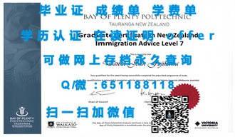 《米德塞克斯大学文凭：开启你艺术与设计领域璀璨未来的钥匙》