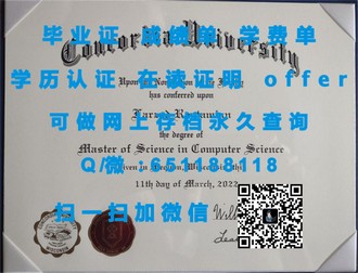 《厄尔斯特大学文凭：开启职业生涯的敲门砖，成就无限可能》