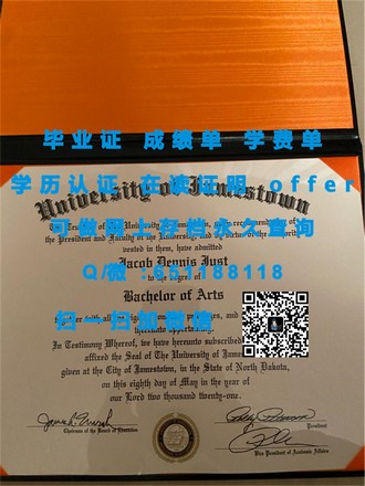 《萨里大学文凭：揭秘学历背后的学术实力与职场竞争力》