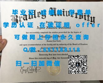 林肯大学文凭：揭秘全球认可的教育品质与就业优势