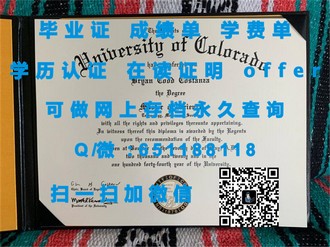 《布鲁奈尔大学文凭：开启你的全球视野与学术成就之旅》