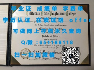 苏塞克斯大学文凭：揭秘名校学历背后的学术魅力与就业优势