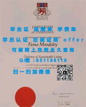 《斯旺西大学文凭：开启你未来职业旅程的敲门砖》