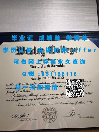 斯特兰米尔斯大学文凭：开启你的国际教育之旅