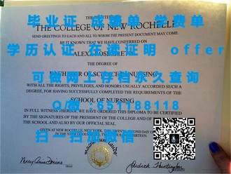 《阿伯泰邓迪大学文凭：开启未来职业道路的钥匙》